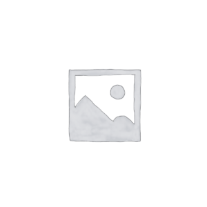 AI Backupbatteri 500